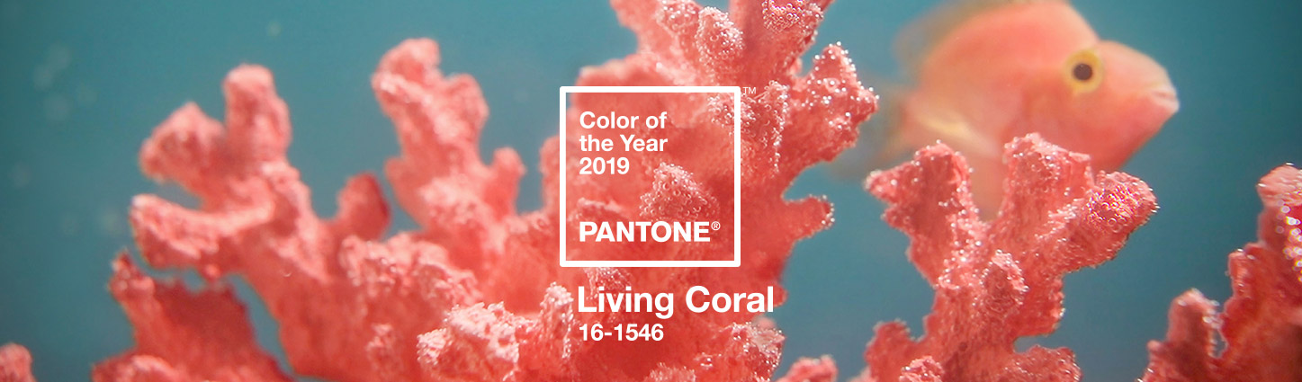 Pantone - цветом 2019 года назван «живой коралл»